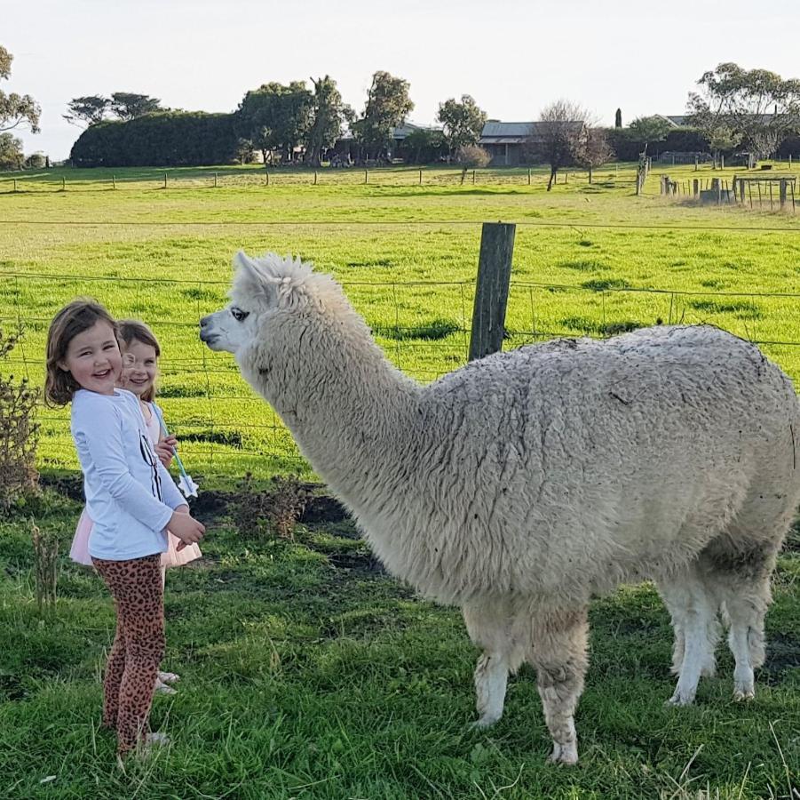 Clonmara Country House And Cottages Port Fairy Exterior foto