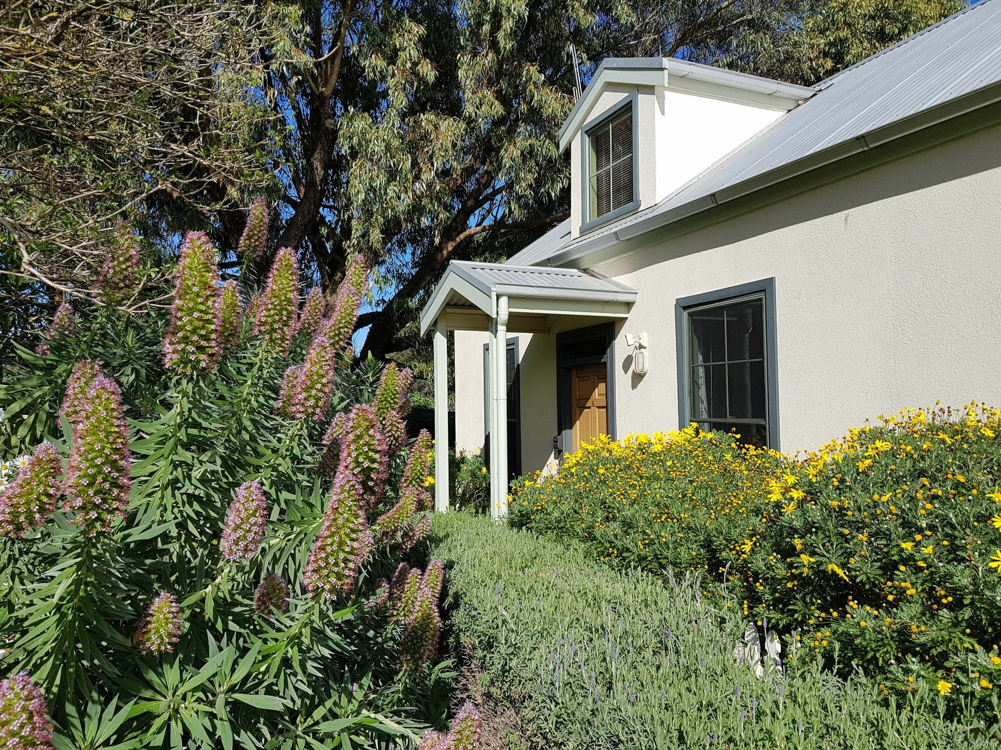 Clonmara Country House And Cottages Port Fairy Exterior foto
