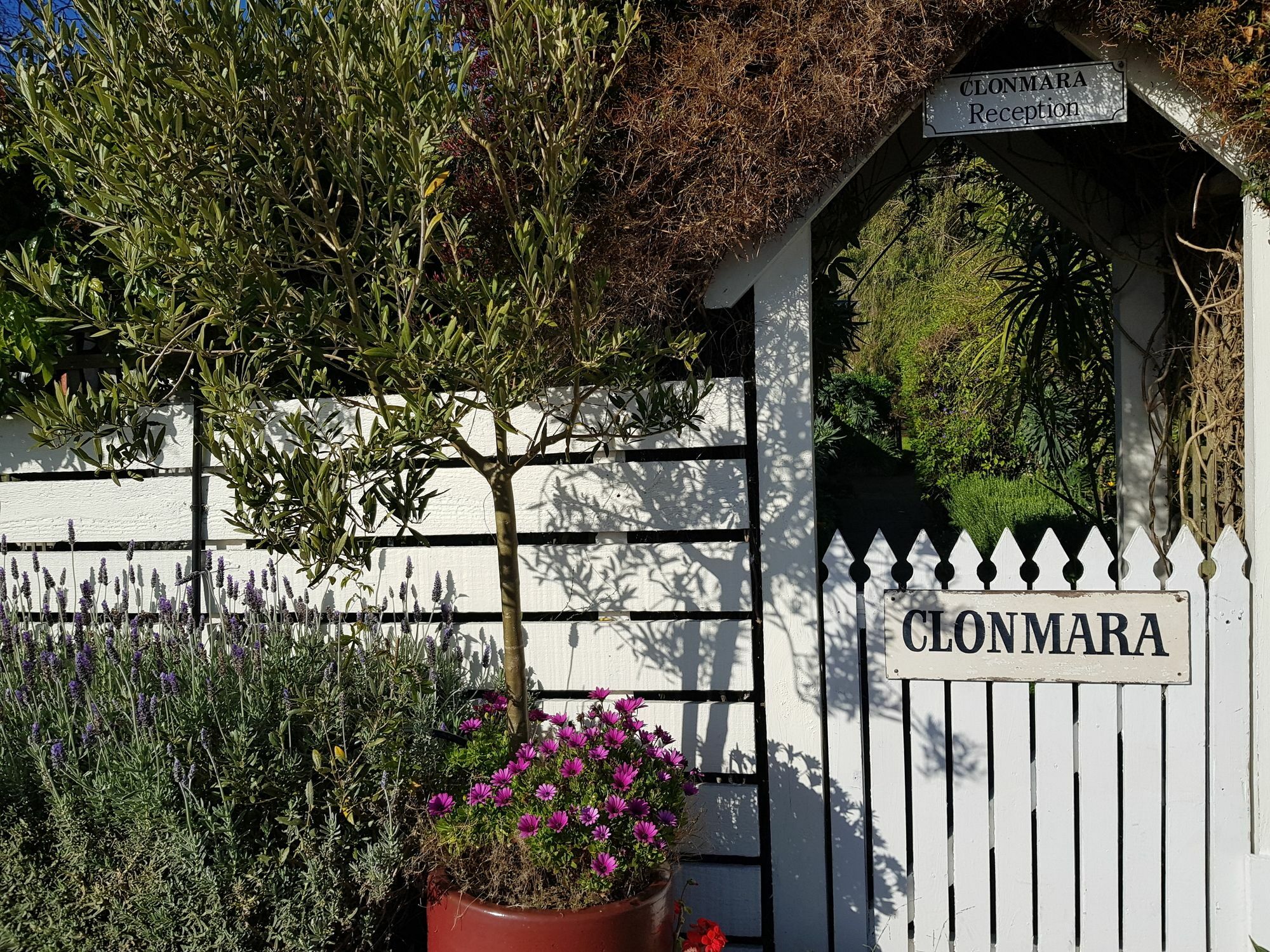 Clonmara Country House And Cottages Port Fairy Exterior foto